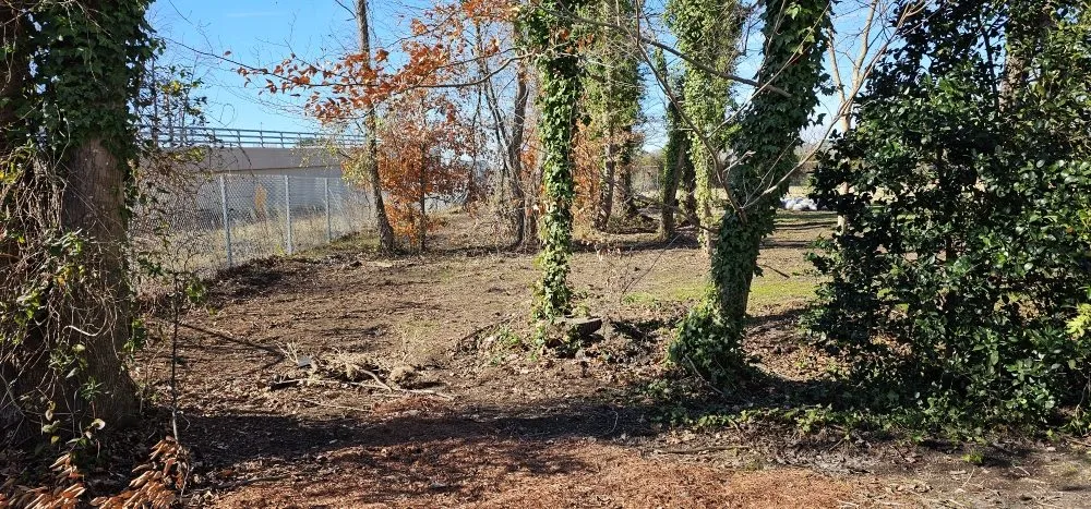 Top-rated landscape design experts serving Chesapeake, VA - GB Lawn Service