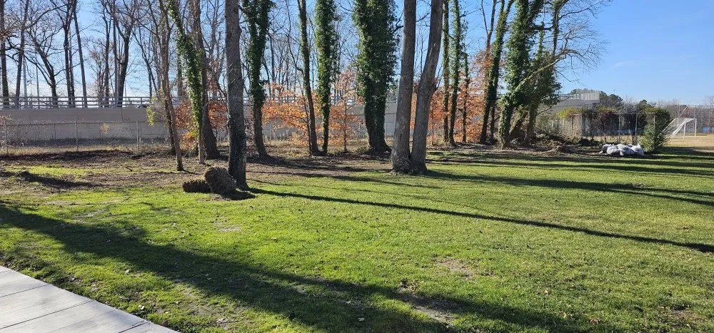 Local lawn care service experts serving Chesapeake, VA - GB Lawn Service