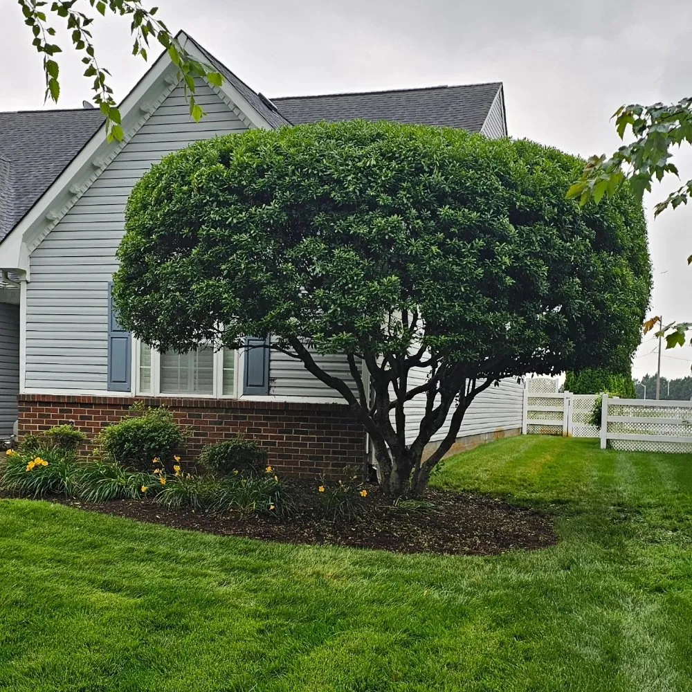 Reliable landscape installation in Chesapeake, VA - GB Lawn Service