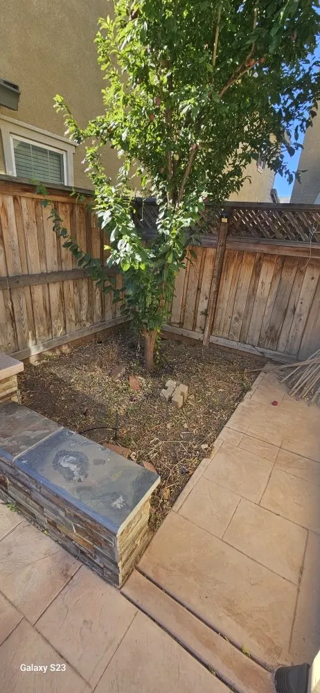 Professional landscaping services in Hayward, CA by GB Lawncare and Design