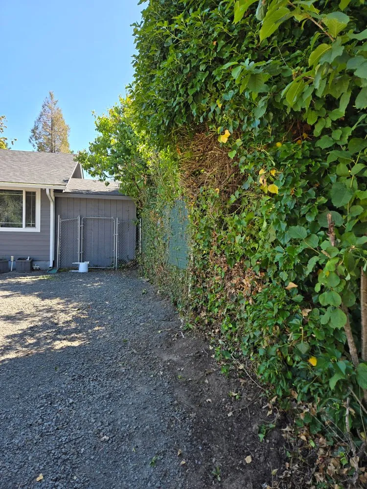 Affordable outdoor landscaping for outdoor upgrades across Keizer, OR - GB Mowing