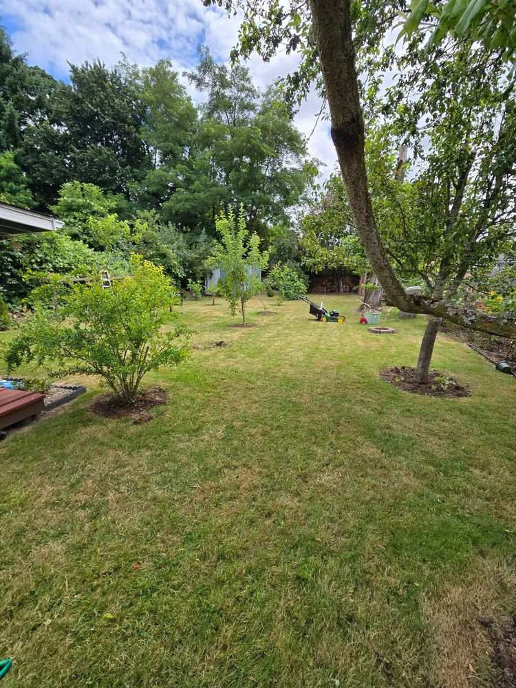 Professional lawn care service in Keizer, OR - GB Mowing