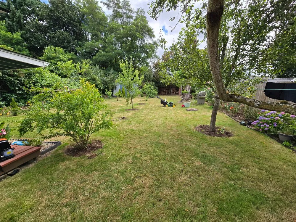 Professional yard maintenance experts serving Keizer, OR - GB Mowing