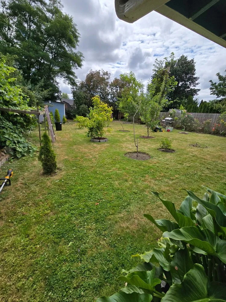Affordable landscape design for year-round maintenance across Keizer, OR - GB Mowing