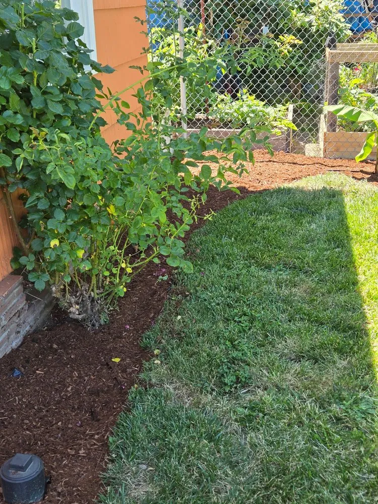 Reliable residential landscaping in Keizer, OR - GB Mowing