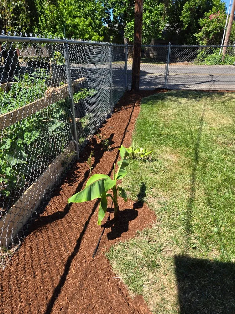 Top-rated lawn mowing service in Keizer, OR - GB Mowing