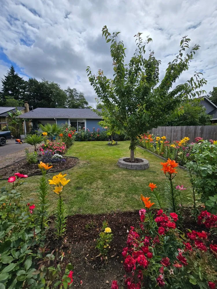 Affordable lawn mowing service experts serving Keizer, OR - GB Mowing