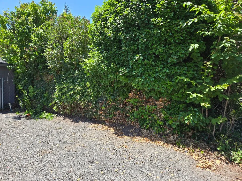 Professional garden landscaping in Keizer, OR - GB Mowing