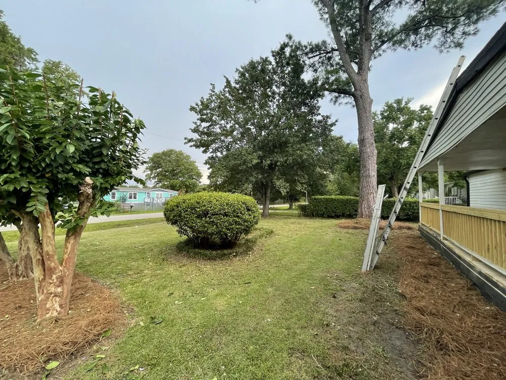 Top-rated landscaping services for beautiful yards in Rocky Point, NC by GB Property Solutions