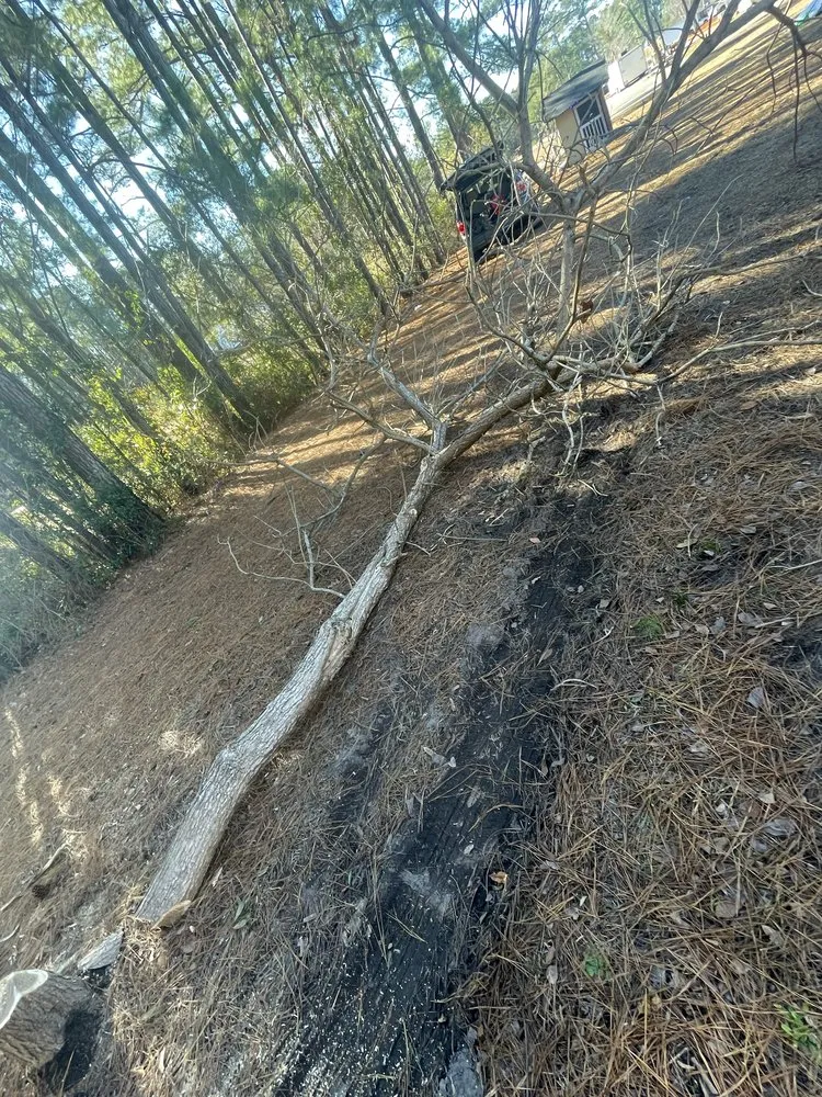 Trusted residential landscaping in Rocky Point, NC by GB Property Solutions