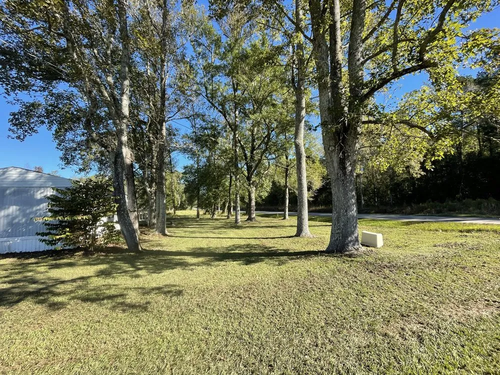 Local landscaping services in Rocky Point, NC by GB Property Solutions