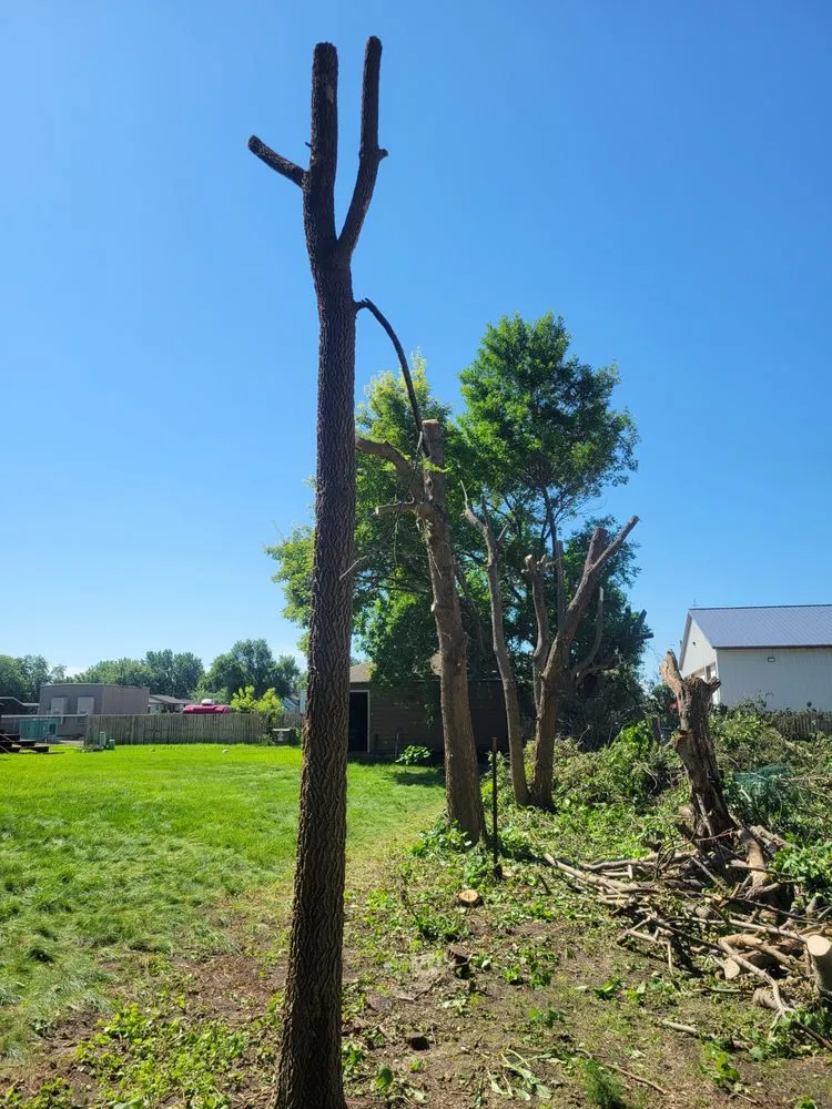 Professional landscape design for year-round maintenance in Mitchell, SD by G&B Twin Company