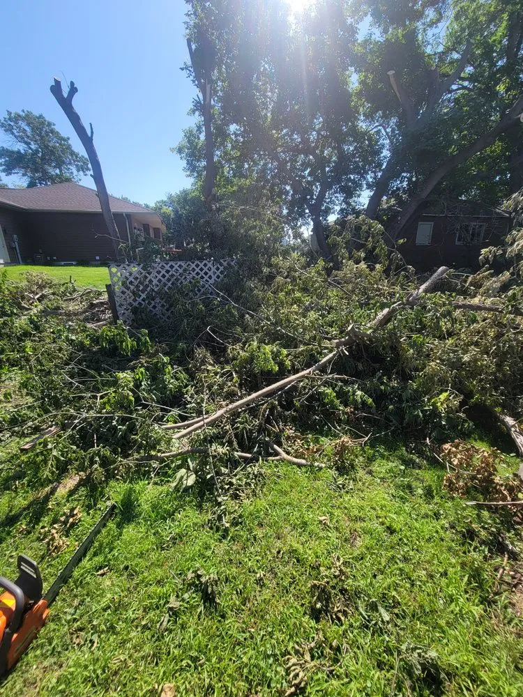 Top-rated landscaping services for beautiful yards in Mitchell, SD by G&B Twin Company