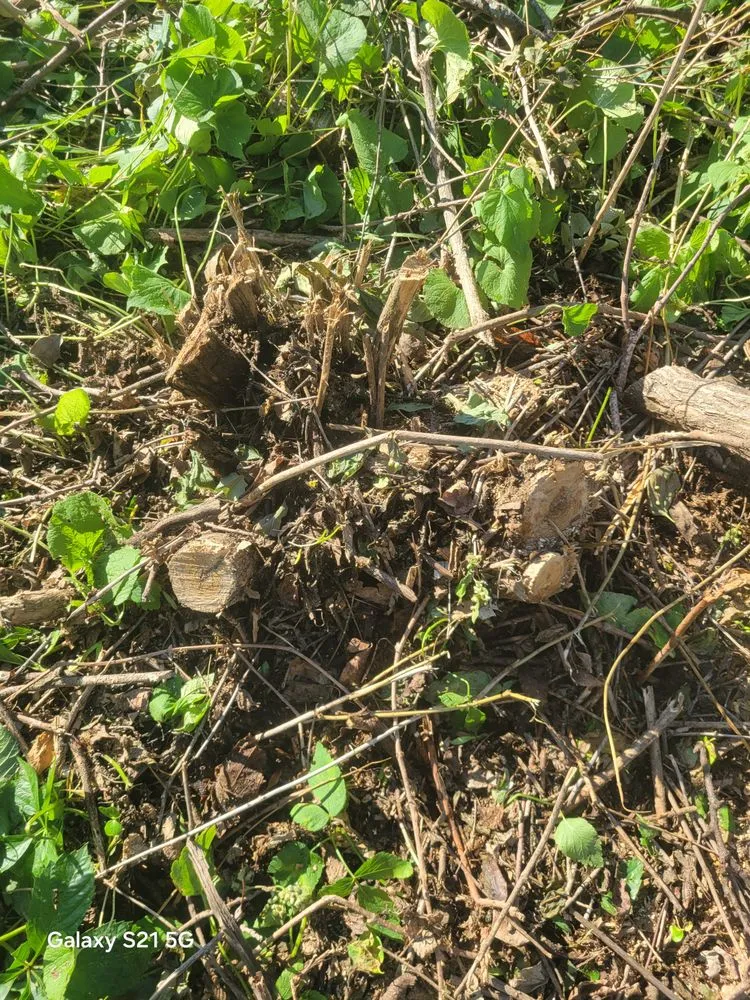 Local yard maintenance in Mitchell, SD - G&B Twin Company