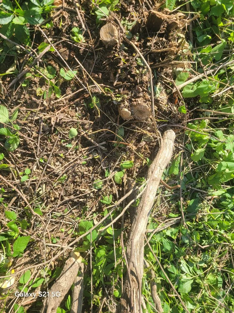 Top-rated landscaping services for residential properties in Mitchell, SD by G&B Twin Company