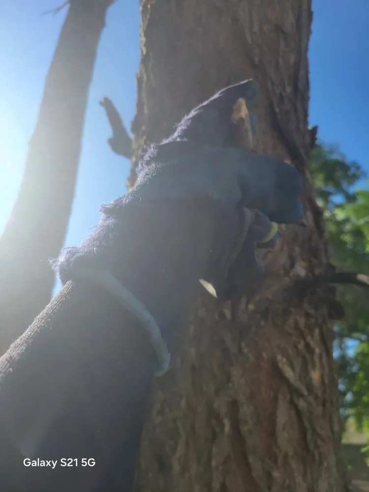 Local lawn mowing service for outdoor upgrades across Mitchell, SD - G&B Twin Company