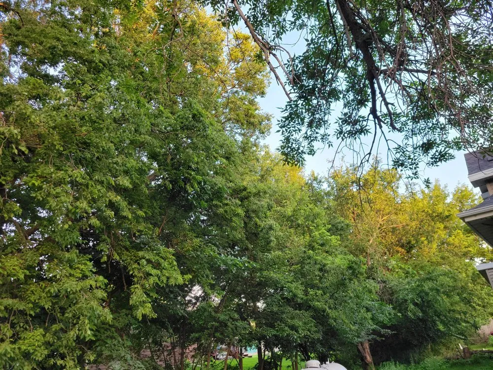 Top-rated landscape installation near you in Mitchell, SD by G&B Twin Company