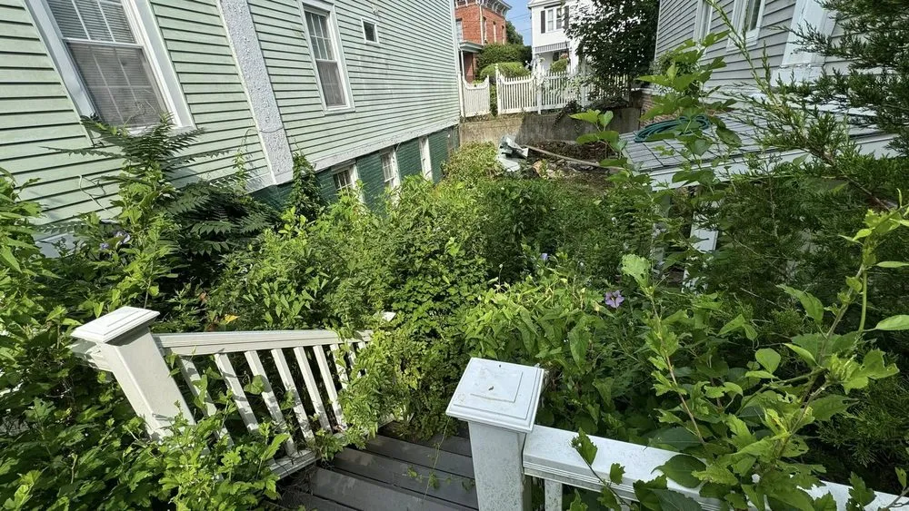 Custom yard cleanup service for residential properties across Norwich, CT - GBA Landscaping