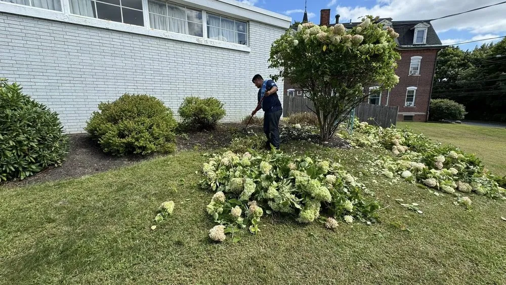 Reliable lawn mowing service in Norwich, CT by GBA Landscaping