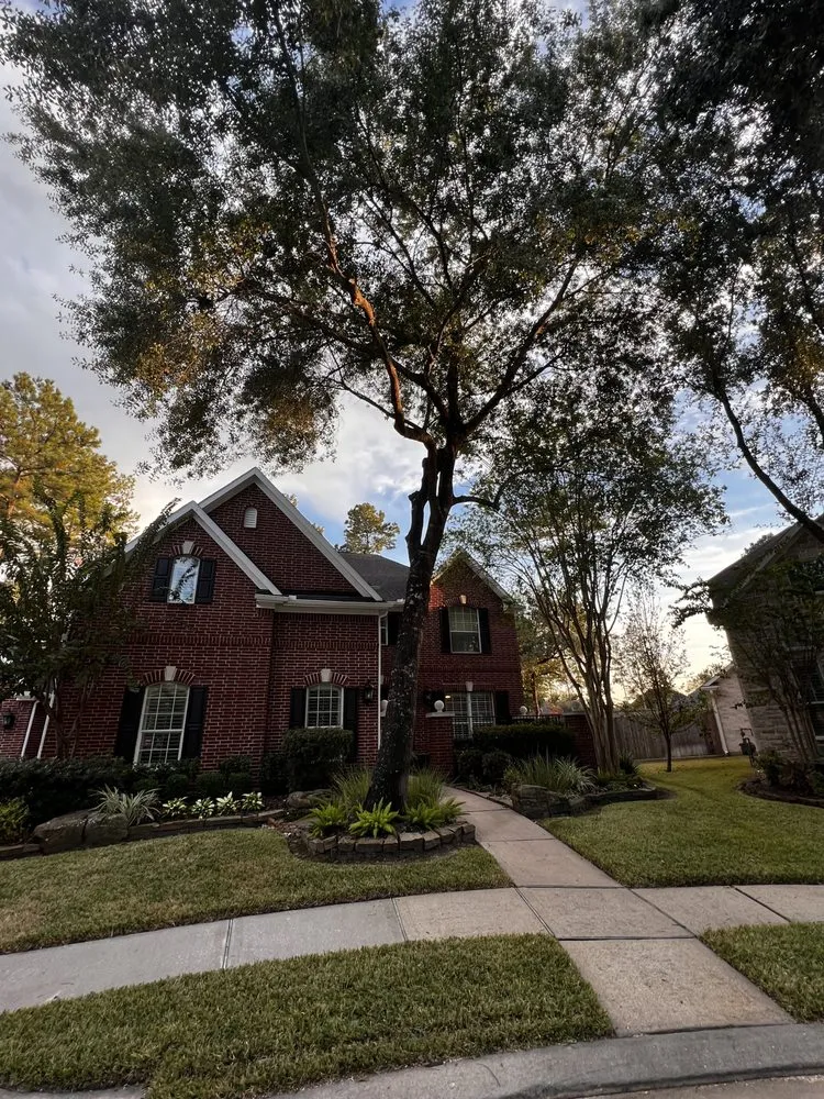 Affordable landscape design in Houston, TX by GBA Trees & Outdoor Services