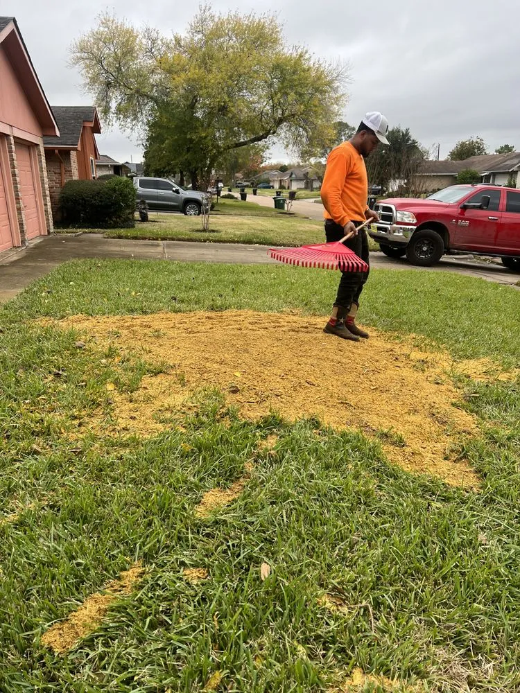 Local landscaping services experts serving Houston, TX - GBA Trees & Outdoor Services