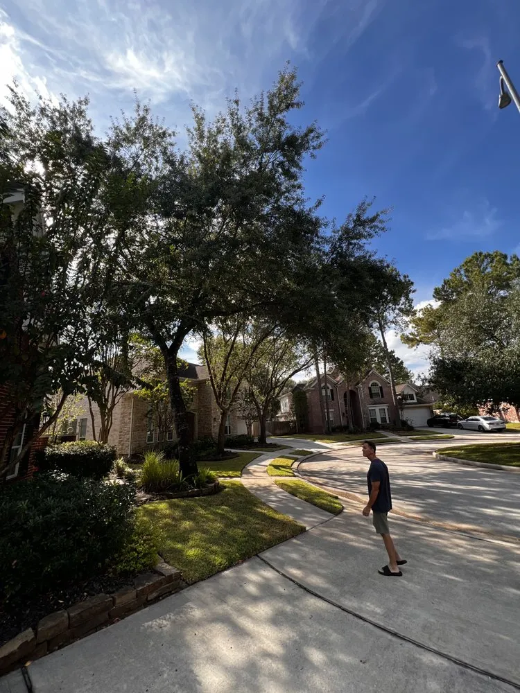 Trusted lawn care service in Houston, TX - GBA Trees & Outdoor Services