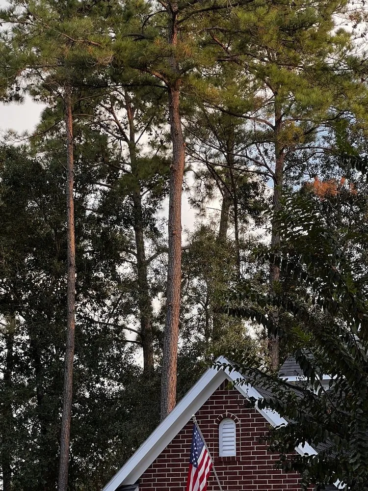 Top-rated landscape design experts serving Houston, TX - GBA Trees & Outdoor Services