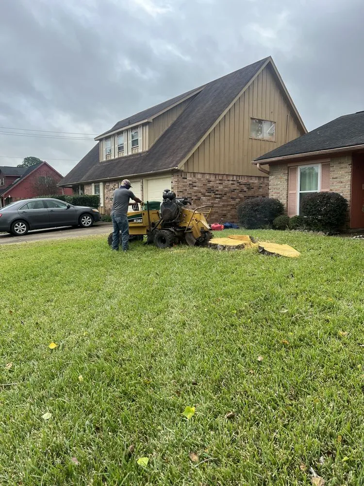 Reliable landscaping services in Houston, TX by GBA Trees & Outdoor Services