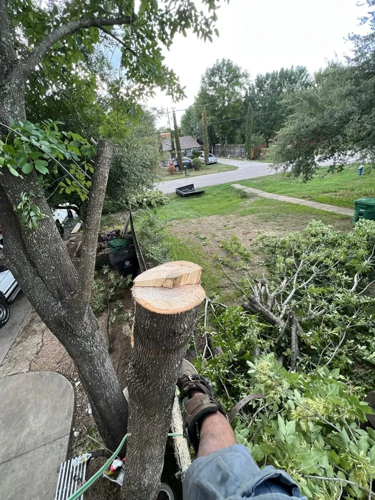 Affordable landscape design near you in Houston, TX by GBA Trees & Outdoor Services