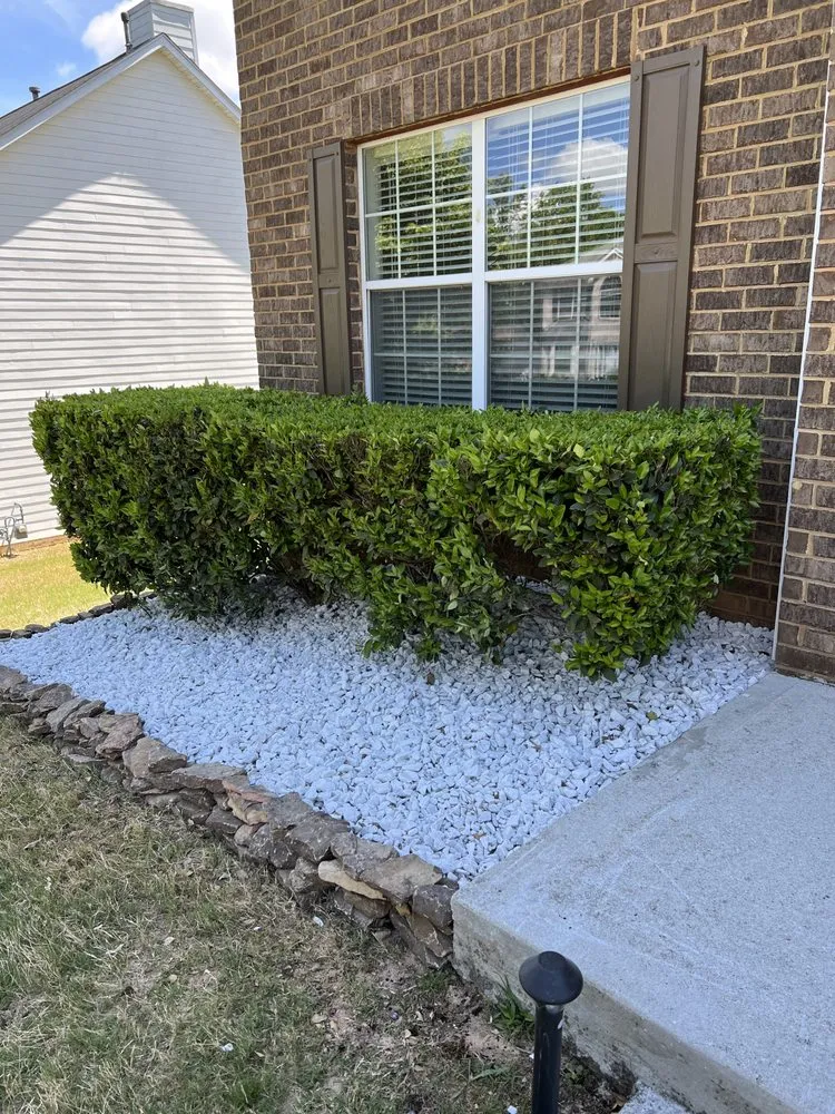 Top-rated lawn mowing service in Houston, TX - GBA Trees & Outdoor Services