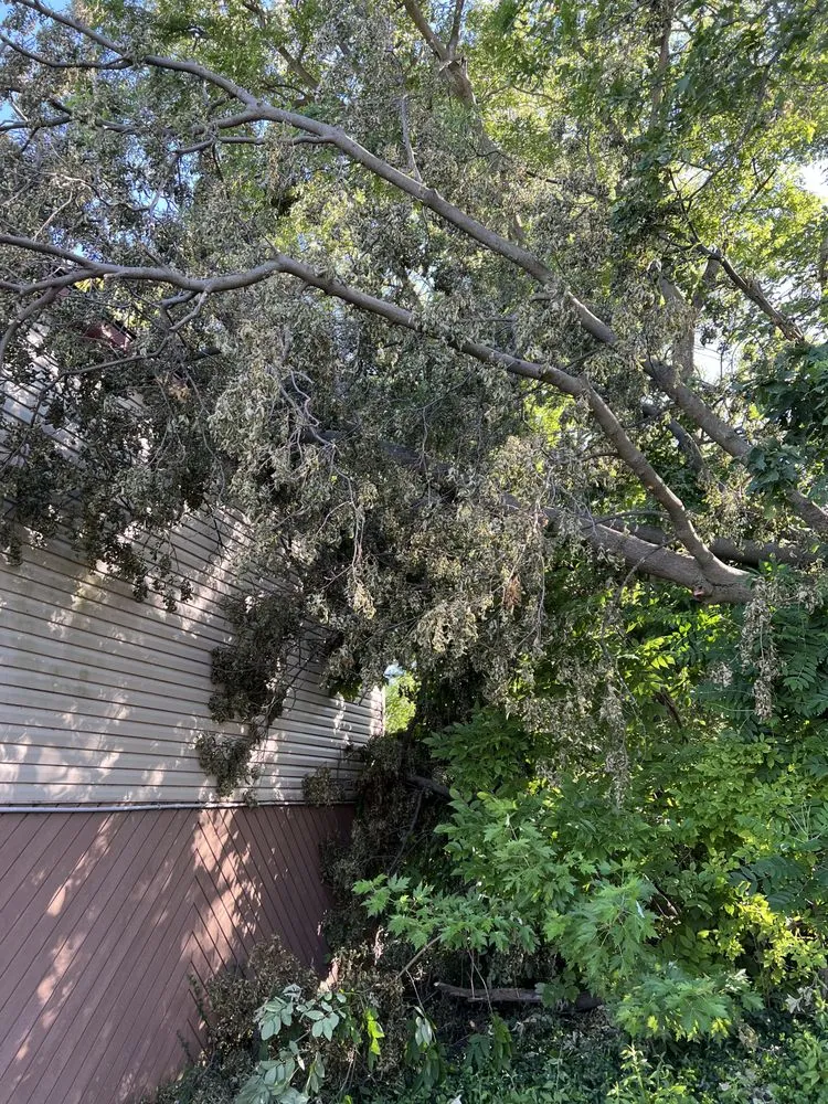 Professional lawn mowing service in Houston, TX by GBA Trees & Outdoor Services