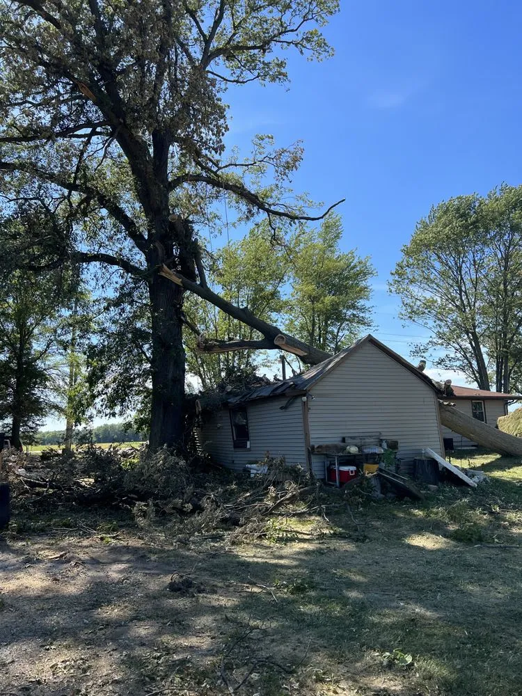 Top-rated lawn mowing service in Houston, TX - GBA Trees & Outdoor Services