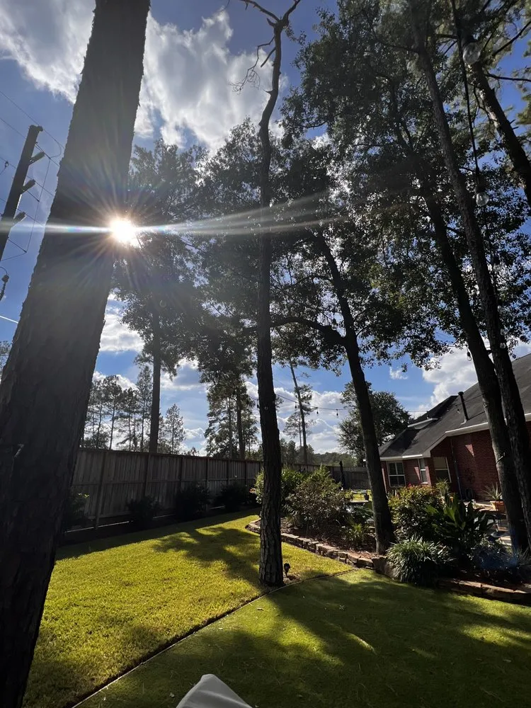 Affordable yard cleanup service experts serving Houston, TX - GBA Trees & Outdoor Services