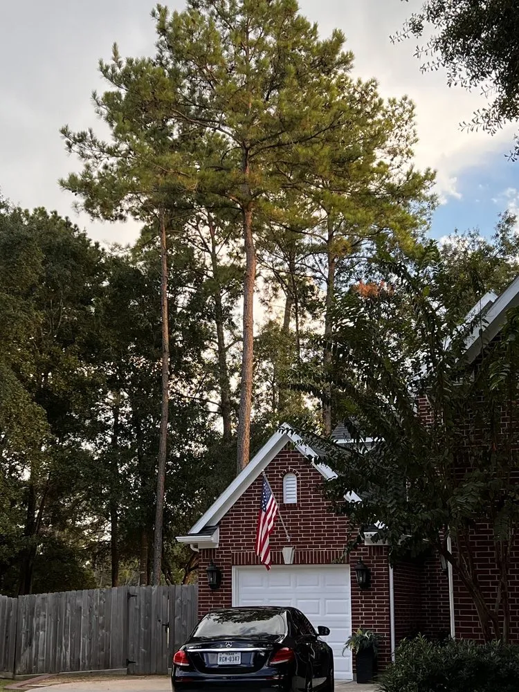 Expert lawn care service experts serving Houston, TX - GBA Trees & Outdoor Services