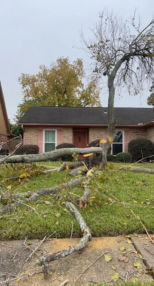 Top-rated outdoor landscaping with custom design across Houston, TX - GBA Trees & Outdoor Services