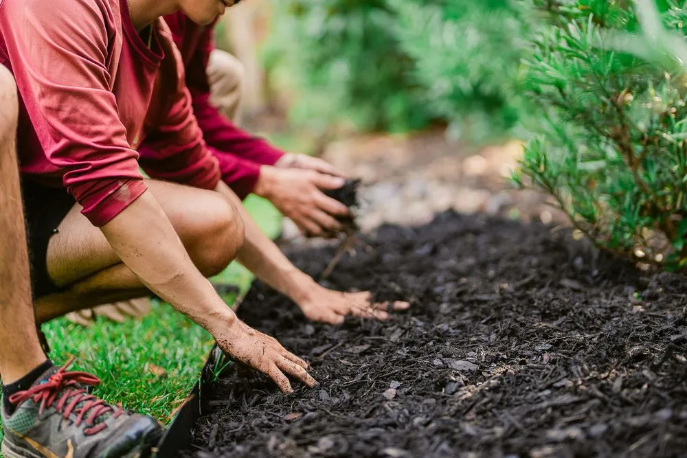 Local yard cleanup service experts serving Greensburg, PA - GBG Landscape & Handyman