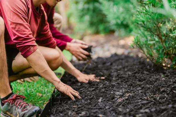 GBG Landscape & Handyman Logo