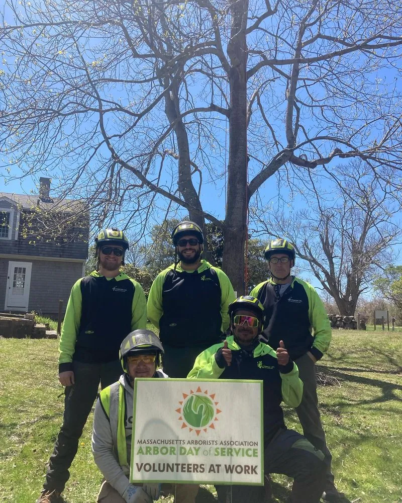 Professional landscape installation in Fairhaven, MA - GBK Company