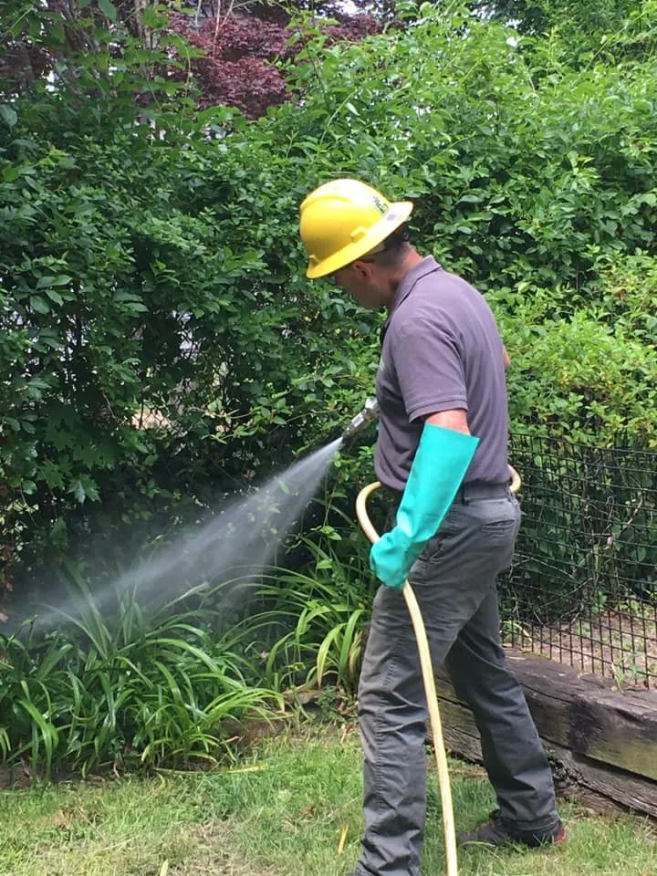 Affordable landscaping services in Fairhaven, MA by GBK Company