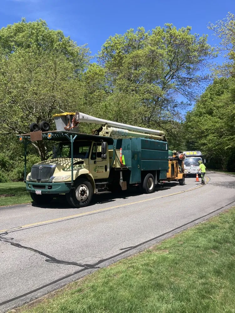 Affordable yard cleanup service in Fairhaven, MA - GBK Company