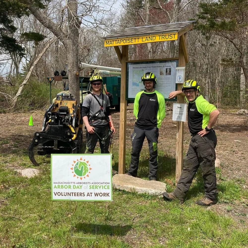 Top-rated yard cleanup service in Fairhaven, MA - GBK Company