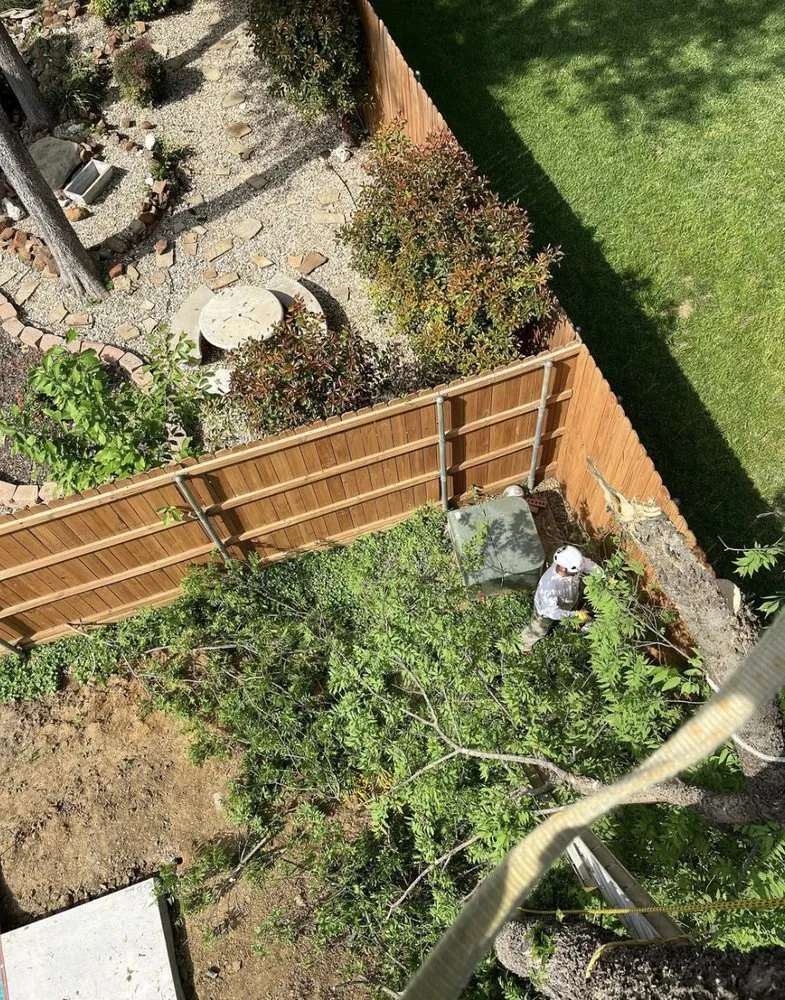 Top-rated landscape design experts serving Grand Prairie, TX - GBK Tree Services & Landscaping