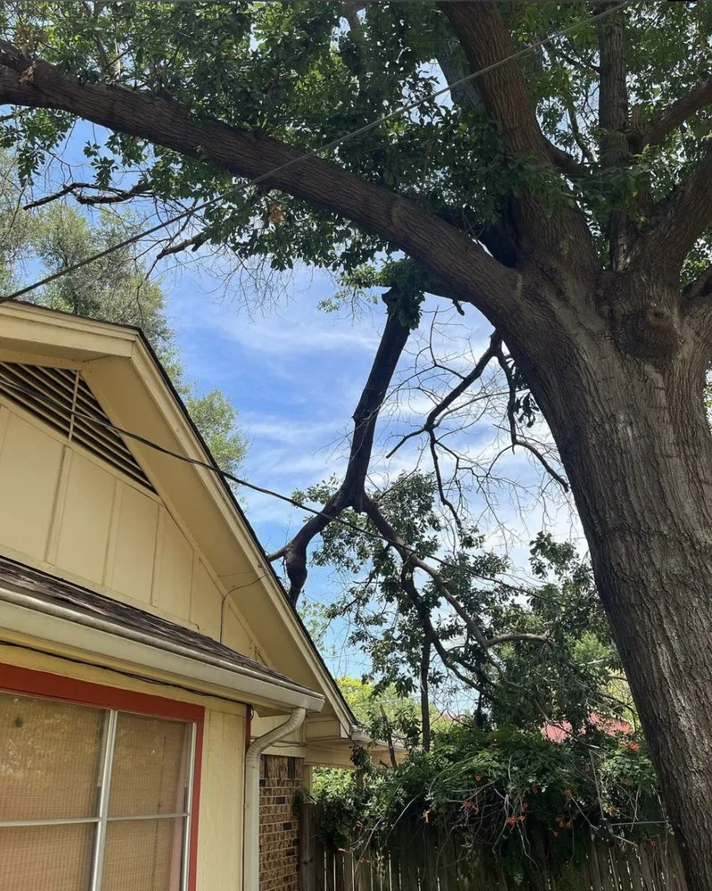 Professional landscaping services for outdoor upgrades across Grand Prairie, TX - GBK Tree Services & Landscaping