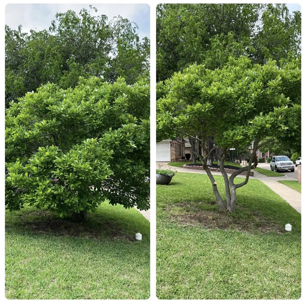 Professional lawn mowing service experts serving Grand Prairie, TX - GBK Tree Services & Landscaping