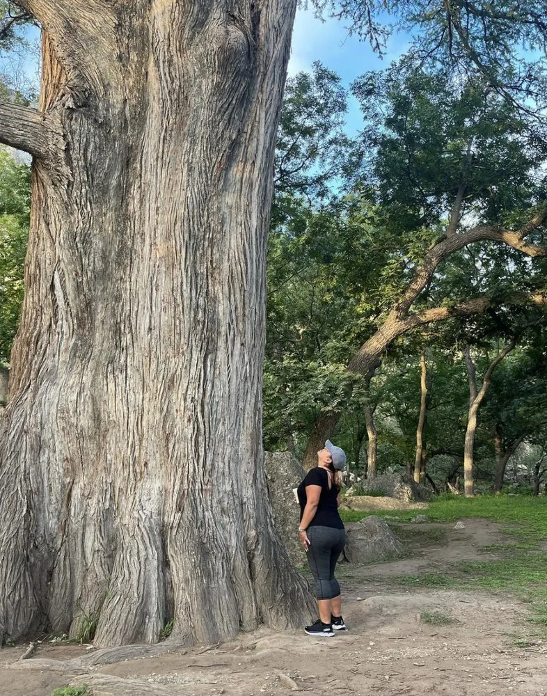 Expert landscape installation for year-round maintenance across Grand Prairie, TX - GBK Tree Services & Landscaping