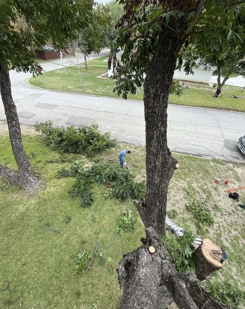 Local landscape design experts serving Grand Prairie, TX - GBK Tree Services & Landscaping