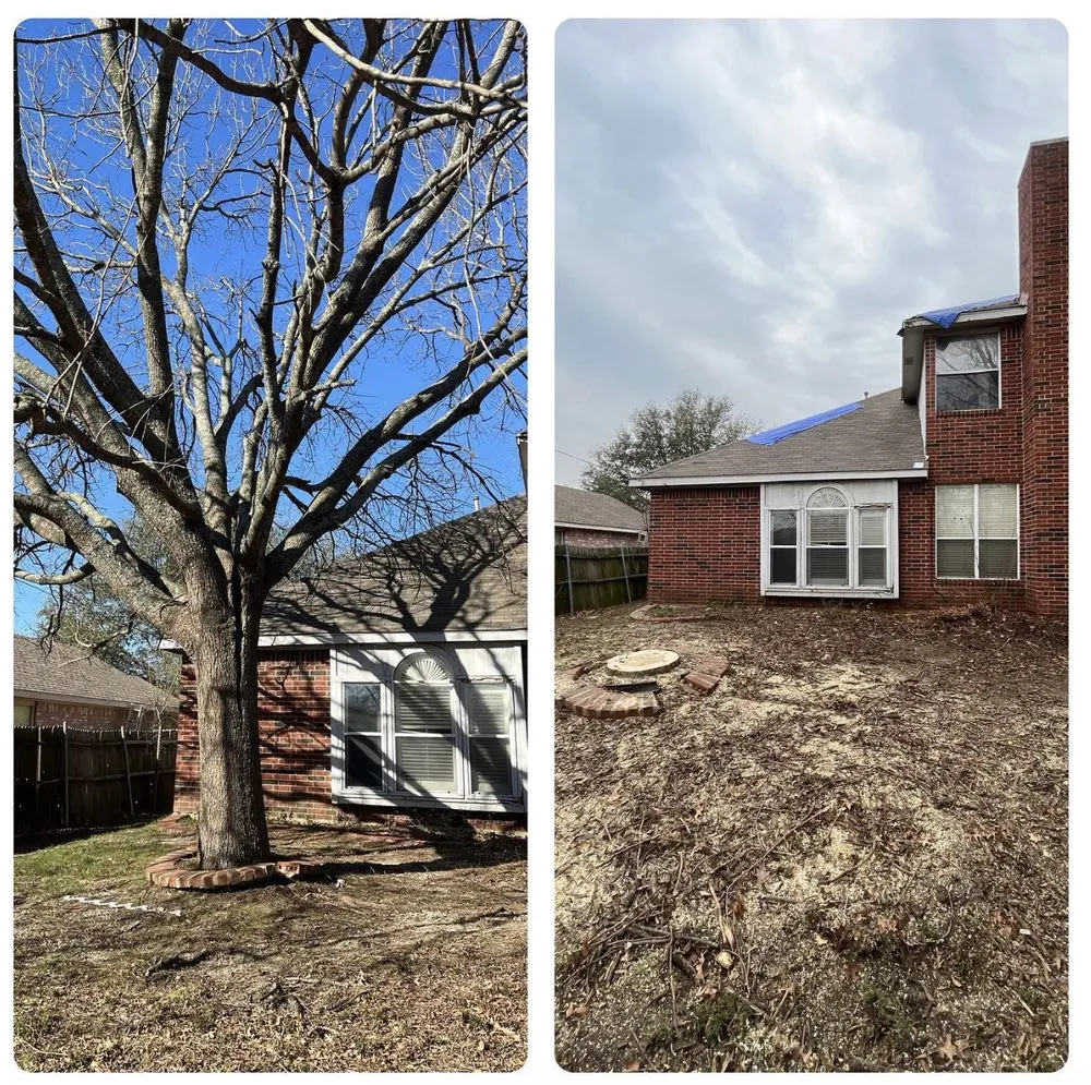 Local landscape installation for beautiful yards in Grand Prairie, TX by GBK Tree Services & Landscaping