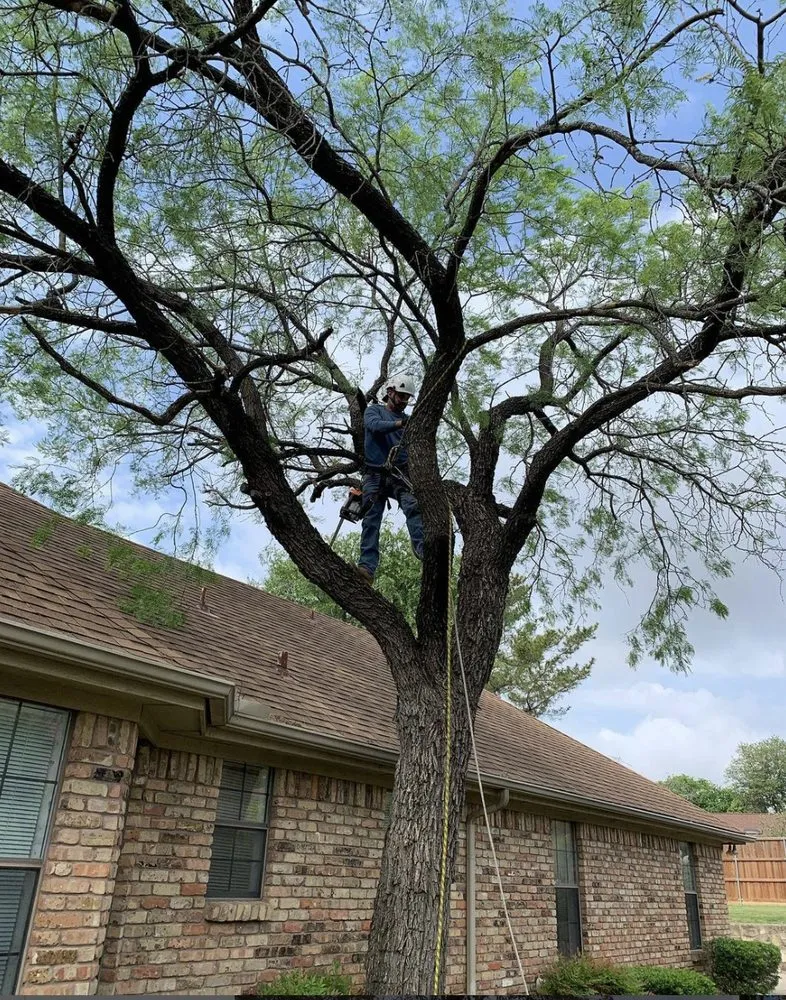 Expert residential landscaping in Grand Prairie, TX - GBK Tree Services & Landscaping