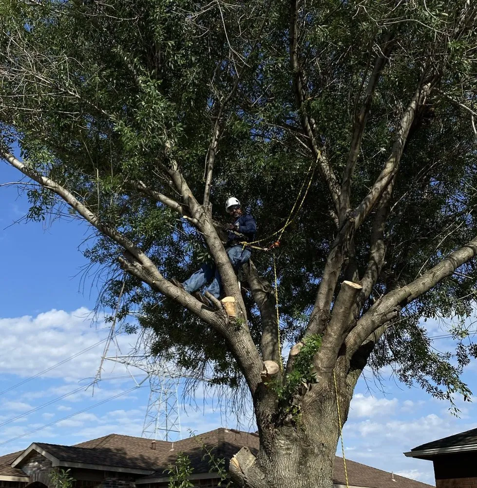 Custom landscaping services in Grand Prairie, TX - GBK Tree Services & Landscaping