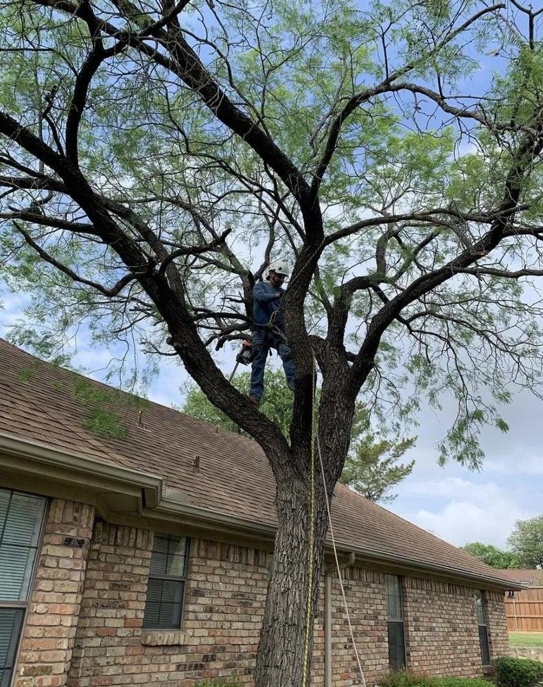 Expert yard maintenance for outdoor upgrades across Grand Prairie, TX - GBK Tree Services & Landscaping